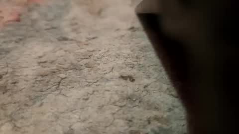 joemancini643 online show from 09.21.25