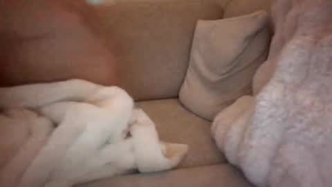 Snapshot of joeybanan chatting on 12.14.25 joeybanan online show from 12.14.25