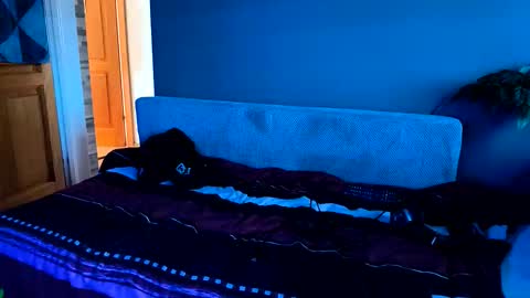 - Quantum - online show from 11.20.25