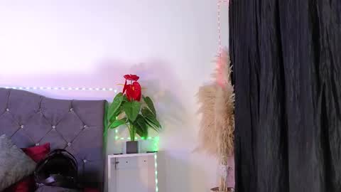 John  online show from 02.26.26