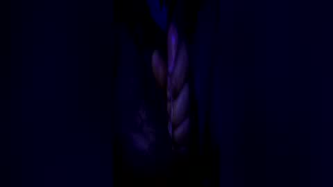 Snapshot of johnbruce23 chatting on 06.25.26 johnbruce23 online show from 06.25.26