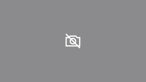 Peace and Harmony online show from 01.25.25