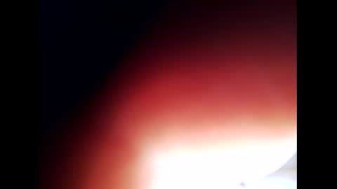 Snapshot of johnlong25cm chatting on 12.24.24 johnlong25cm online show from 12.24.24