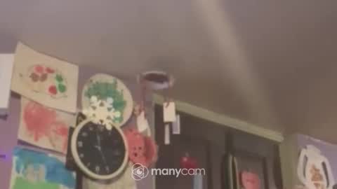 johnnyshung1 online show from 12.16.24