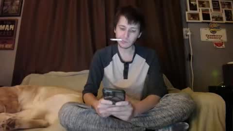 Johston online show from 12.08.24