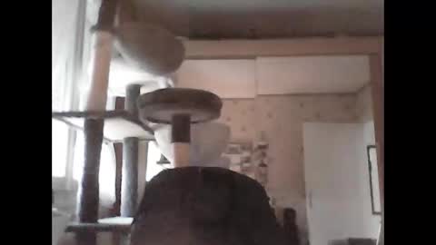 jojo60000529566 online show from 09.29.25