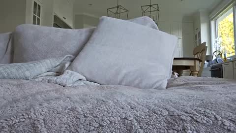 Snapshot of jonesy420xoo chatting on 10.08.25 jonesy420xoo online show from 10.08.25