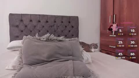 Will online show from 02.28.26