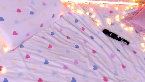 Rose online show from 03.01.25