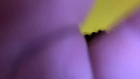 Snapshot of josevaldez4769 chatting on 11.28.25 josevaldez47 online show from 11.28.25