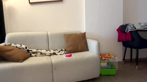 josh_xo online show from 11.30.25