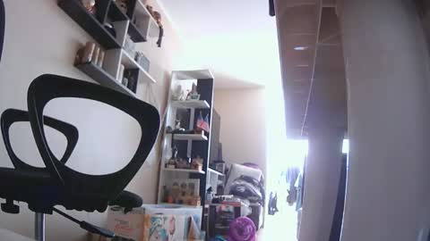 joshperu20 online show from 03.01.26