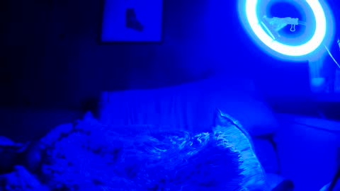 jroge21 online show from 03.09.25