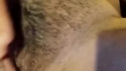 Snapshot of jsjsjdjsjjdx chatting on 01.09.26 jsjsjdjsjjdx online show from 01.09.26