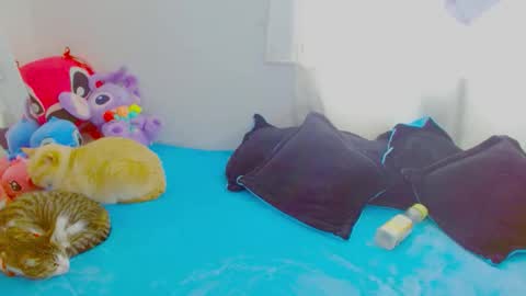 Snapshot of juli_69 chatting on 01.07.26 Juliana Torres online show from 01.07.26