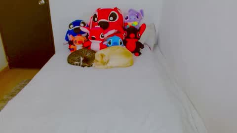 Snapshot of juli_69 chatting on 02.25.26 Juliana Torres online show from 02.25.26