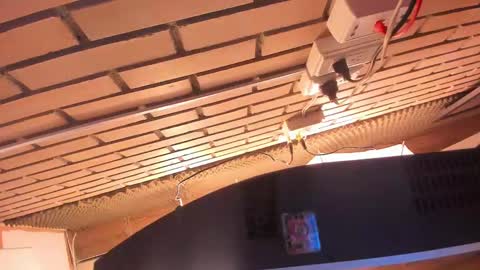 Julia online show from 03.02.25