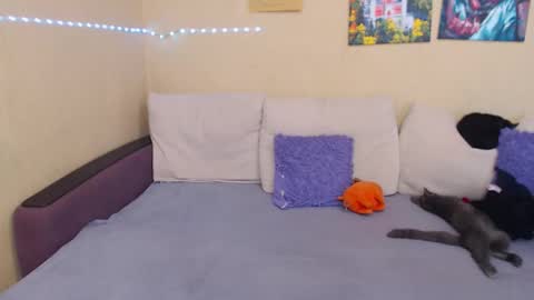 Jul online show from 09.12.25