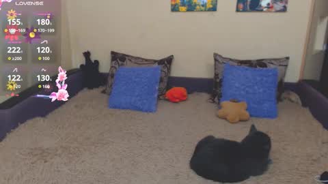 Jul online show from 02.21.26