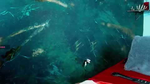    online show from 02.20.26