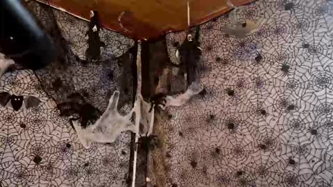 Snapshot of julietta__jackson chatting on 10.07.25 Julietta Jackson online show from 10.07.25