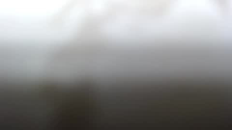 Dave online show from 02.04.25