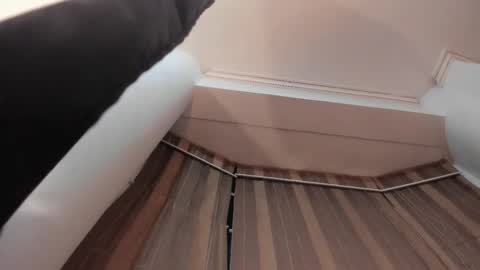 Jupiter Fox online show from 10.15.25