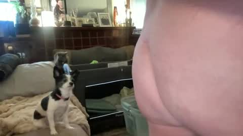 Snapshot of just4you101 chatting on 02.10.26 Flirty influncer online show from 02.10.26