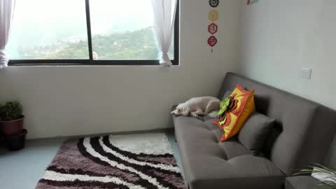 Sofia online show from 03.07.25