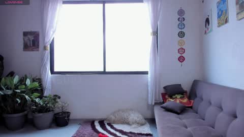 Sofia online show from 04.11.26