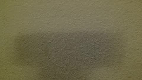 Just marlon online show from 03.08.25