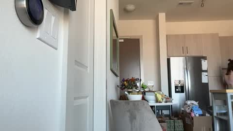 Stella online show from 02.12.26