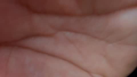 Layla online show from 01.23.25