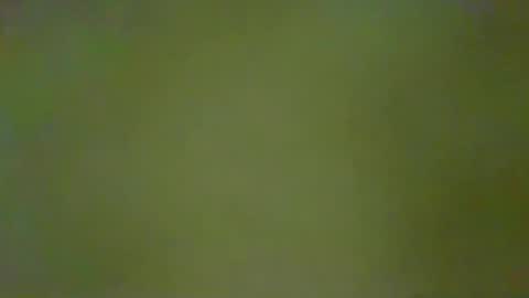 McKeefer online show from 01.18.26