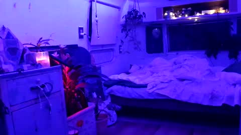 jwolf11851725 online show from 09.21.25