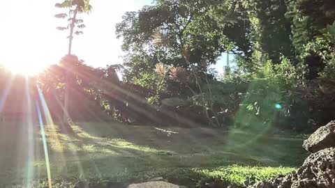 Snapshot of kaileeshy chatting on 09.10.25 Kailee Smile online show from 09.10.25