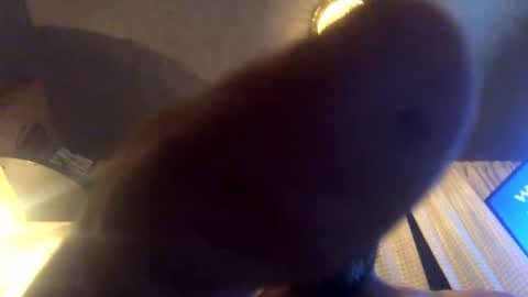 Tucker online show from 09.23.25