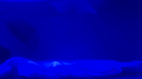 Karla Gonzaless online show from 11.02.25