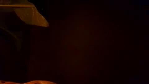 Karla Gonzaless online show from 11.04.25