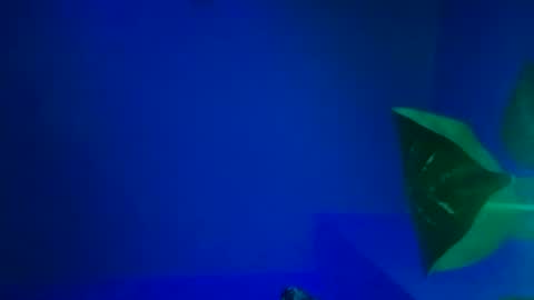 Karla Gonzaless online show from 11.09.25