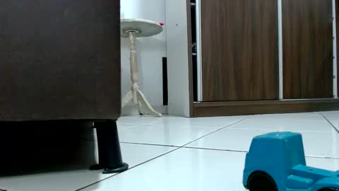 Tamires e Maicon online show from 10.09.25