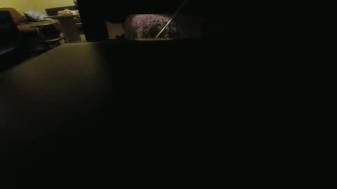 Snapshot of kaskaderns chatting on 01.18.26 Stojko online show from 01.18.26