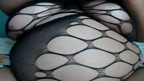 Kata online show from 03.02.26