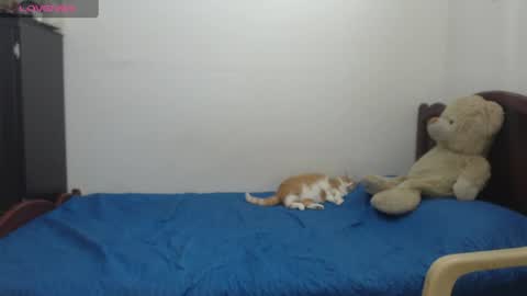 kate_leex online show from 06.17.26