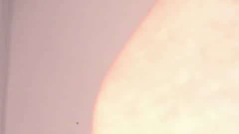 Help me with rate thanks  online show from 01.07.25