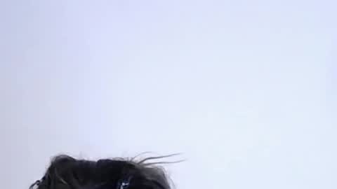 Help me with rate thanks  online show from 02.10.26