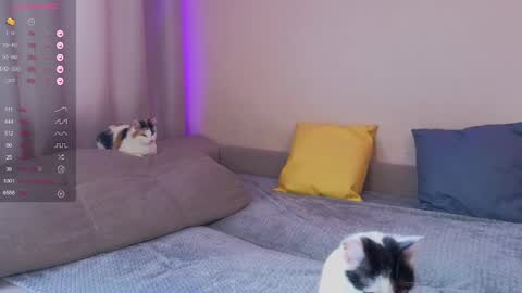 Katerina online show from 01.30.25