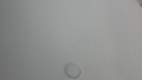 Snapshot of katestone_again chatting on 01.17.25 love meeee online show from 01.17.25