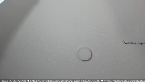 Snapshot of katestone_again chatting on 02.14.25 love meeee online show from 02.14.25