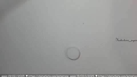 Snapshot of katestone_again chatting on 02.19.25 love meeee online show from 02.19.25